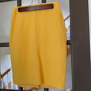 The Limited size 0 skirt.